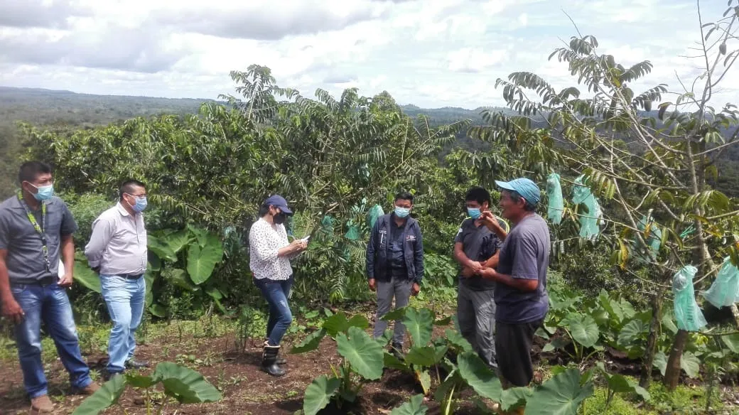 Lee más sobre el artículo MAG impulsa prácticas de producción sustentable, en Pastaza.