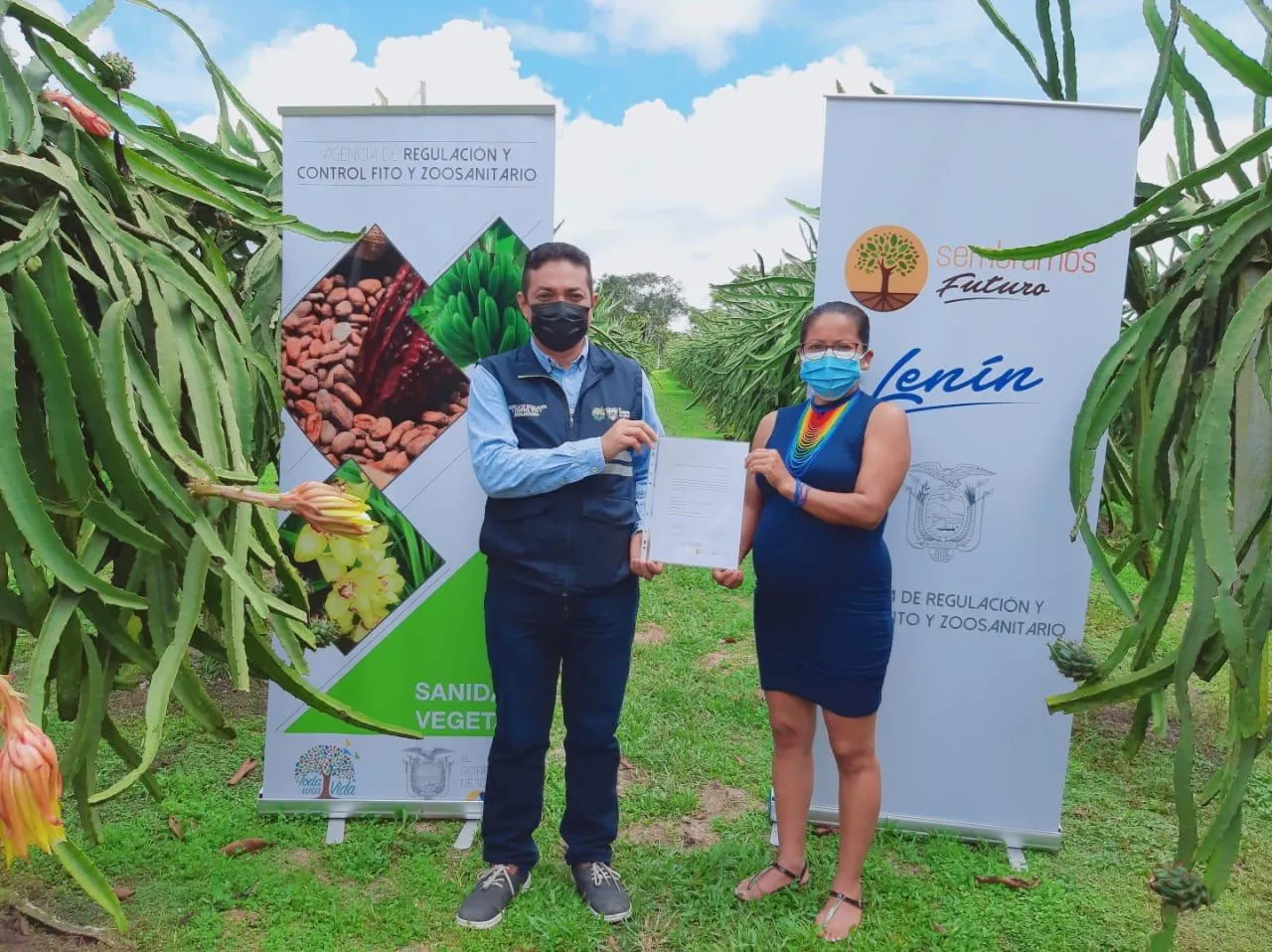 Lee más sobre el artículo Pastaza podrá exportar pitahaya amarilla a Estados Unidos y Colombia.