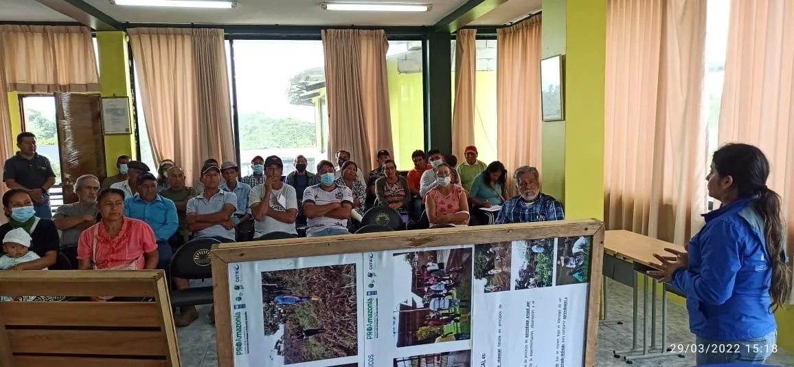 Lee más sobre el artículo Productores de Pastaza se capacitan mediante Escuelas de Campo.