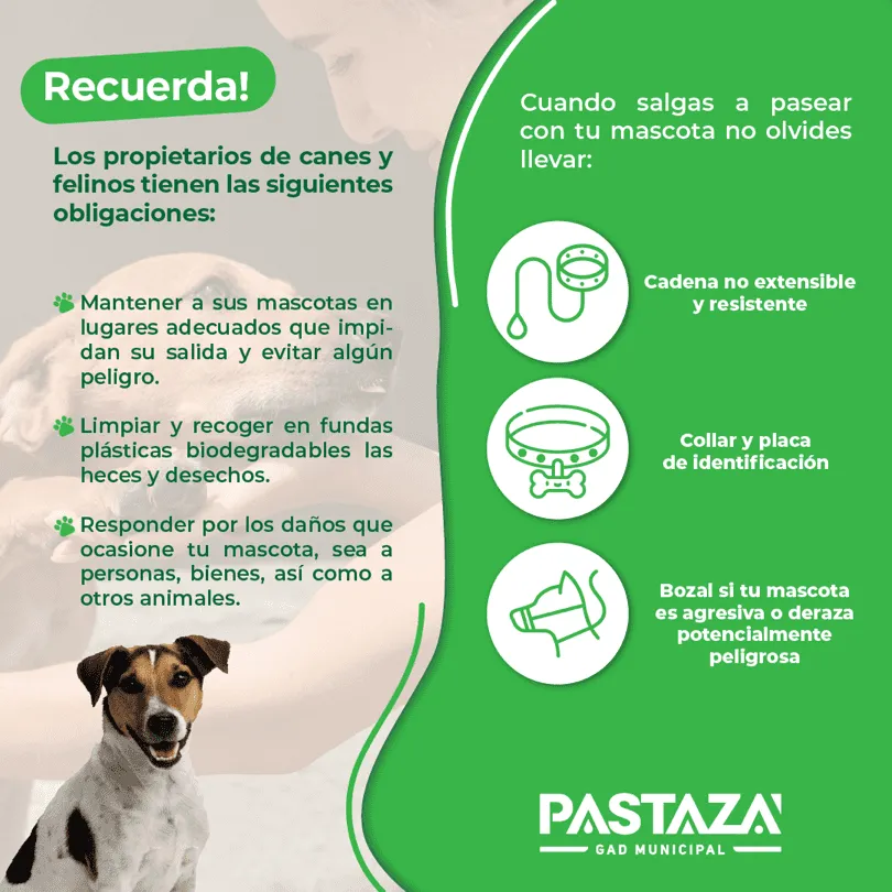 Lee más sobre el artículo En Puyo propietarios de canes y felinos tienen las siguientes obligaciones: