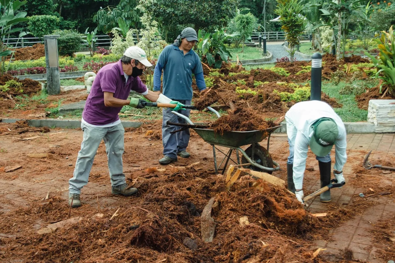 Lee más sobre el artículo Mejoramiento de ornato en parques y jardines de Puyo.