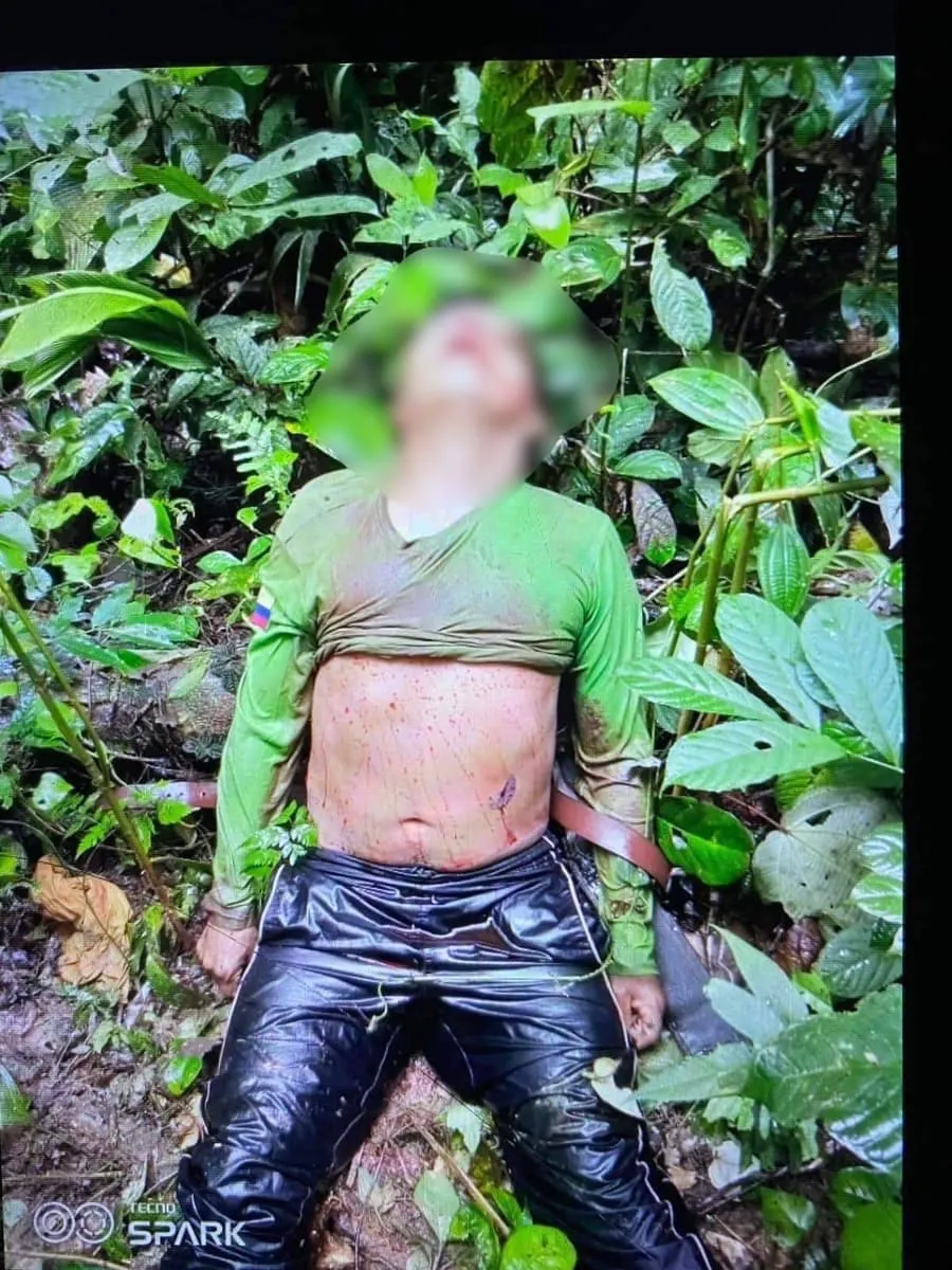 Lee más sobre el artículo Persona en Pastaza cayó de un puente hecho de un tronco de madera y después falleció.