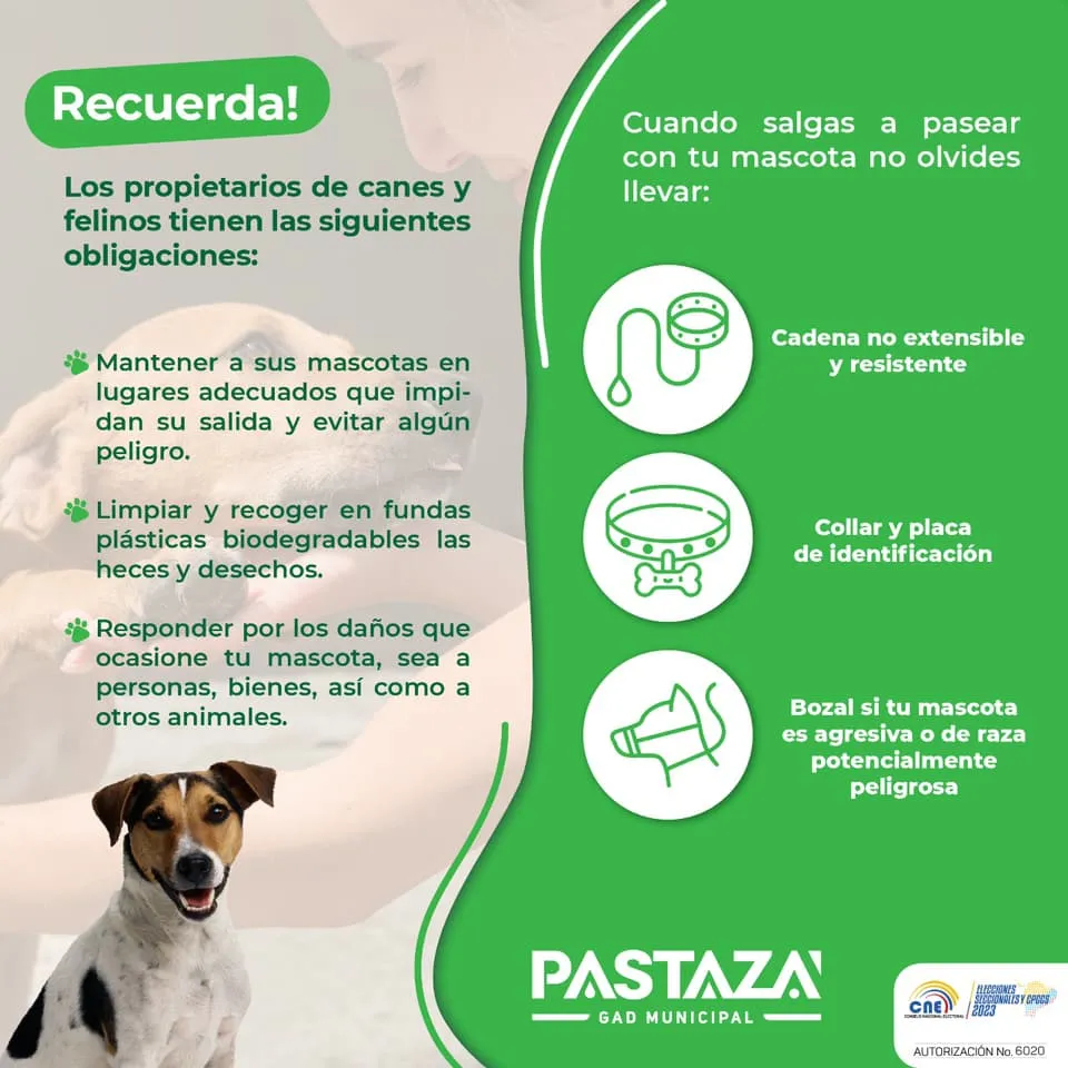 Lee más sobre el artículo Propietarios de canes y felinos en el Cantón Pastaza tienen las siguientes obligaciones.