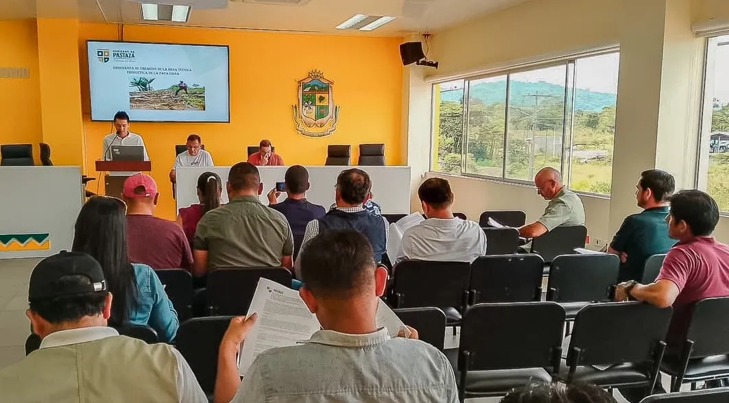 Lee más sobre el artículo Mesa técnica producción de papa china en Pastaza.