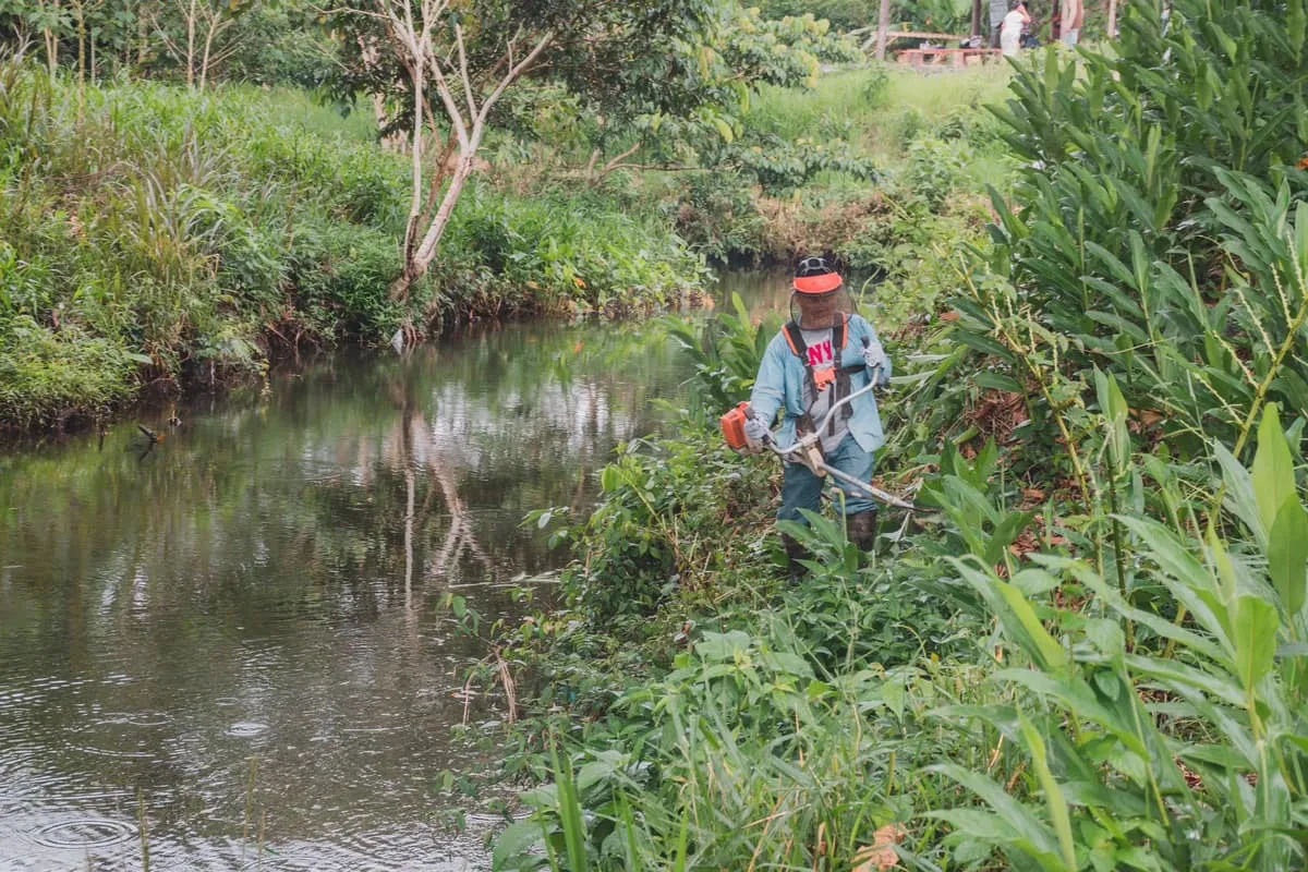 Lee más sobre el artículo ¡Se realizó minga de limpieza y reforestación en Ñukanchi Llakta!