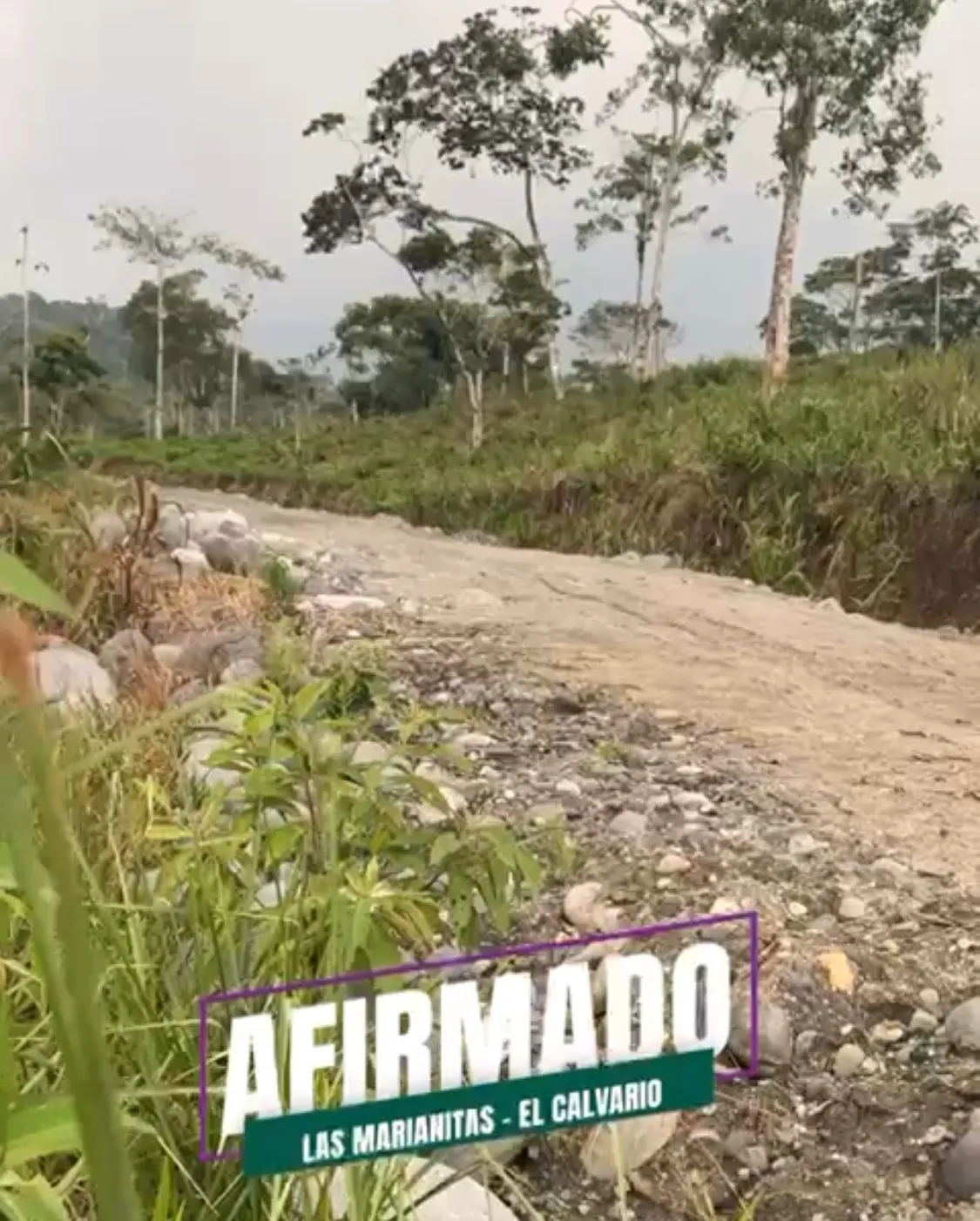 Lee más sobre el artículo Prefectura de Pastaza trabaja en vialidad.