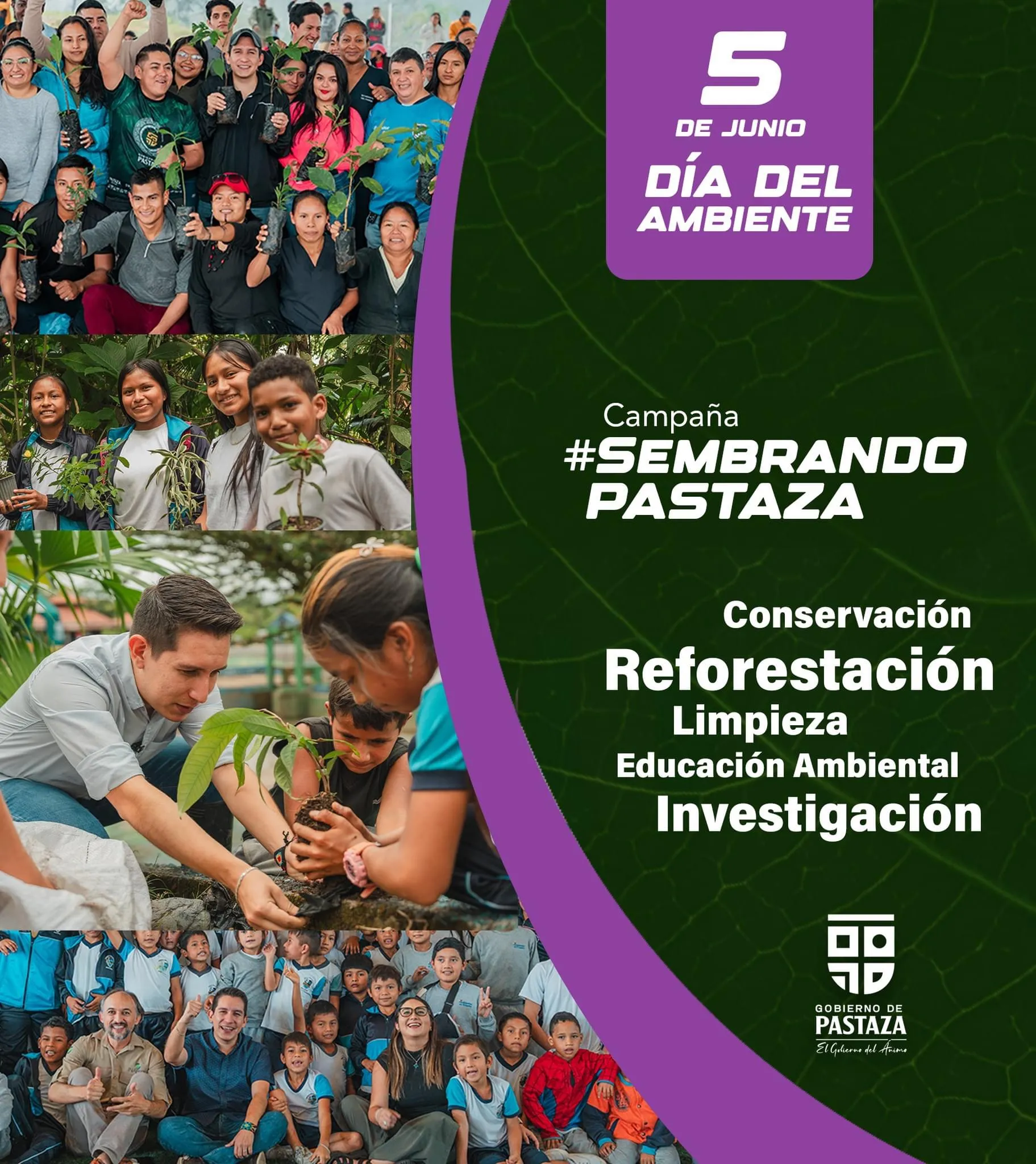 Lee más sobre el artículo Día del Ambiente ¡Somos la Generación Restauración!.
