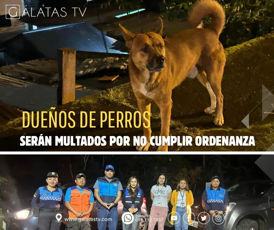 Lee más sobre el artículo Dueños de canes serán multados por no cumplir ordenanza Municipal en Puyo.