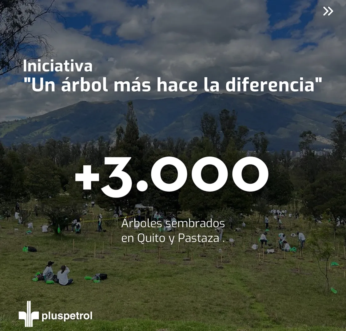 Lee más sobre el artículo Pluspetrol acciones por el medio ambiente.