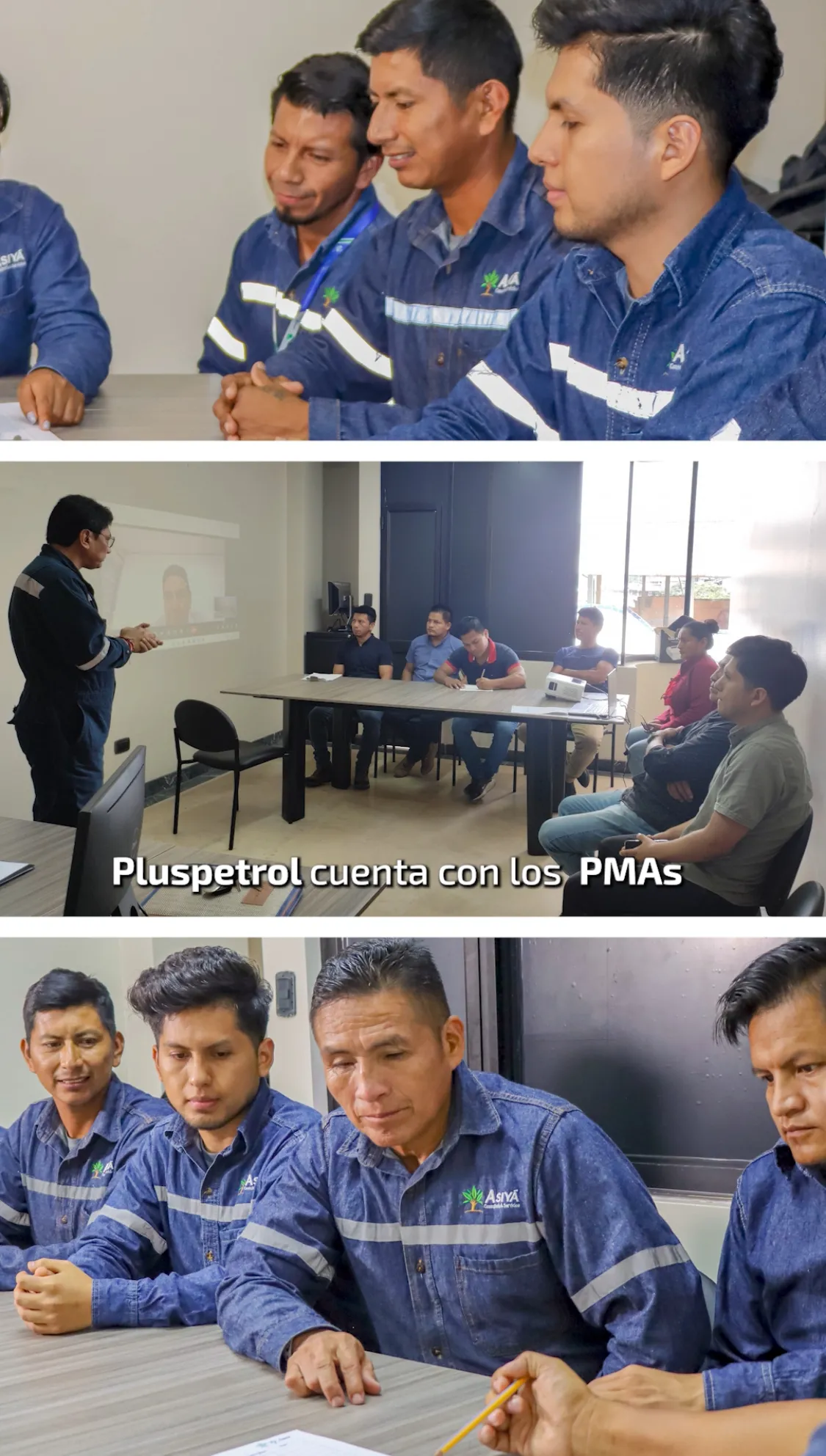 Lee más sobre el artículo Plan de Manejo Ambiental de Pluspetrol.
