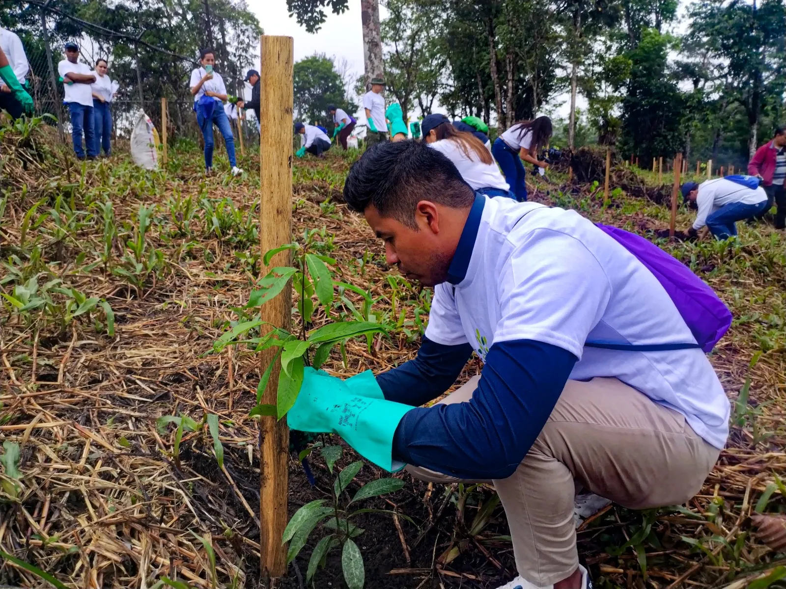 Lee más sobre el artículo Pluspetrol Ecuador desarrolla la iniciativa Un Árbol Más Hace la Diferencia.