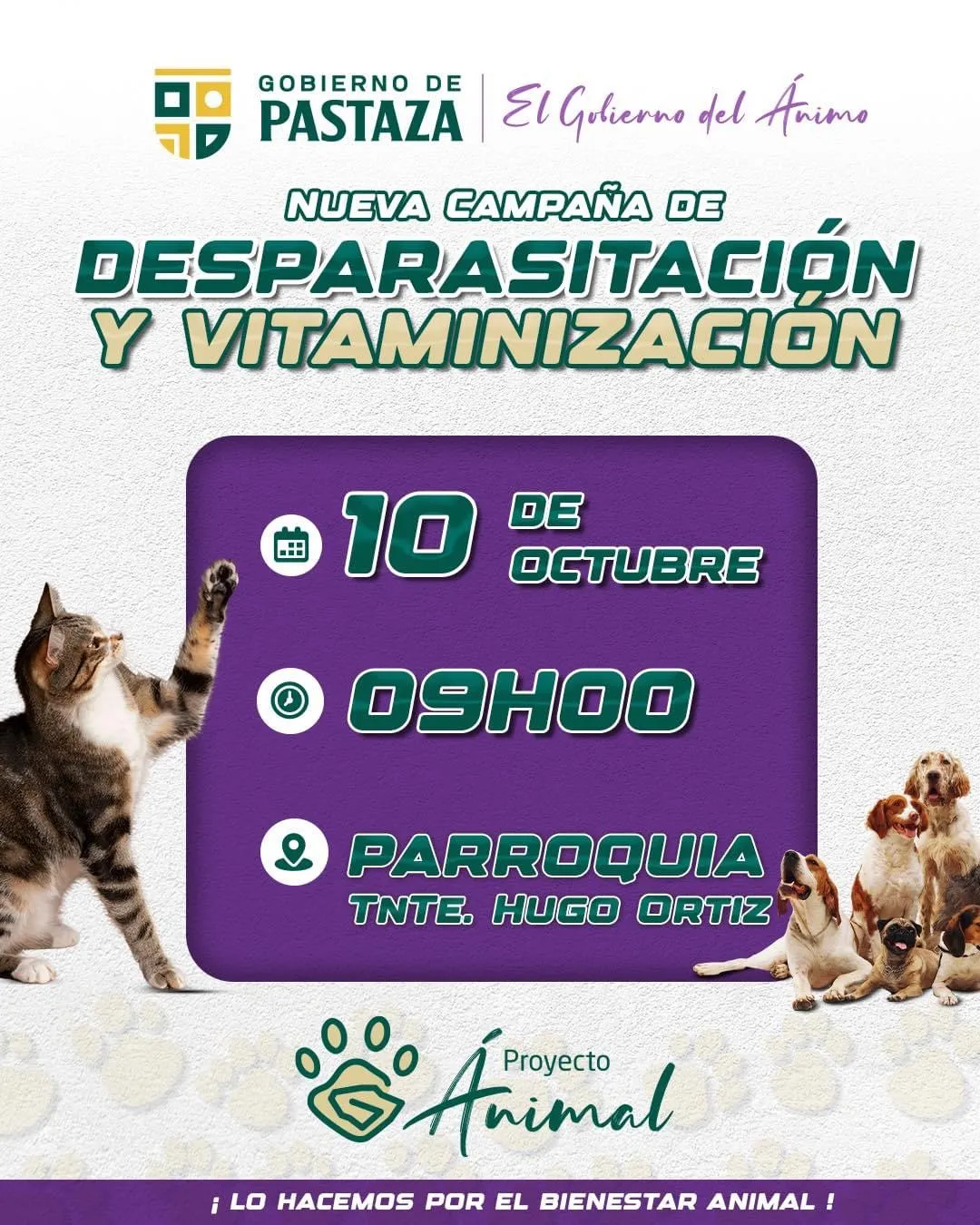 Lee más sobre el artículo Bienestar Animal.