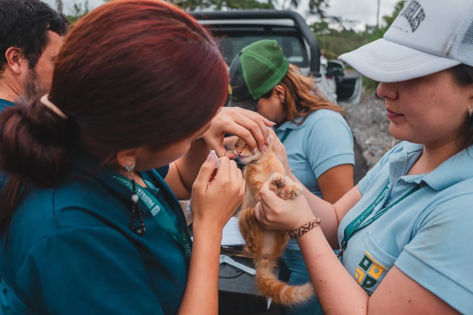 Lee más sobre el artículo Cuidado Animal por Prefectura de Pastaza.