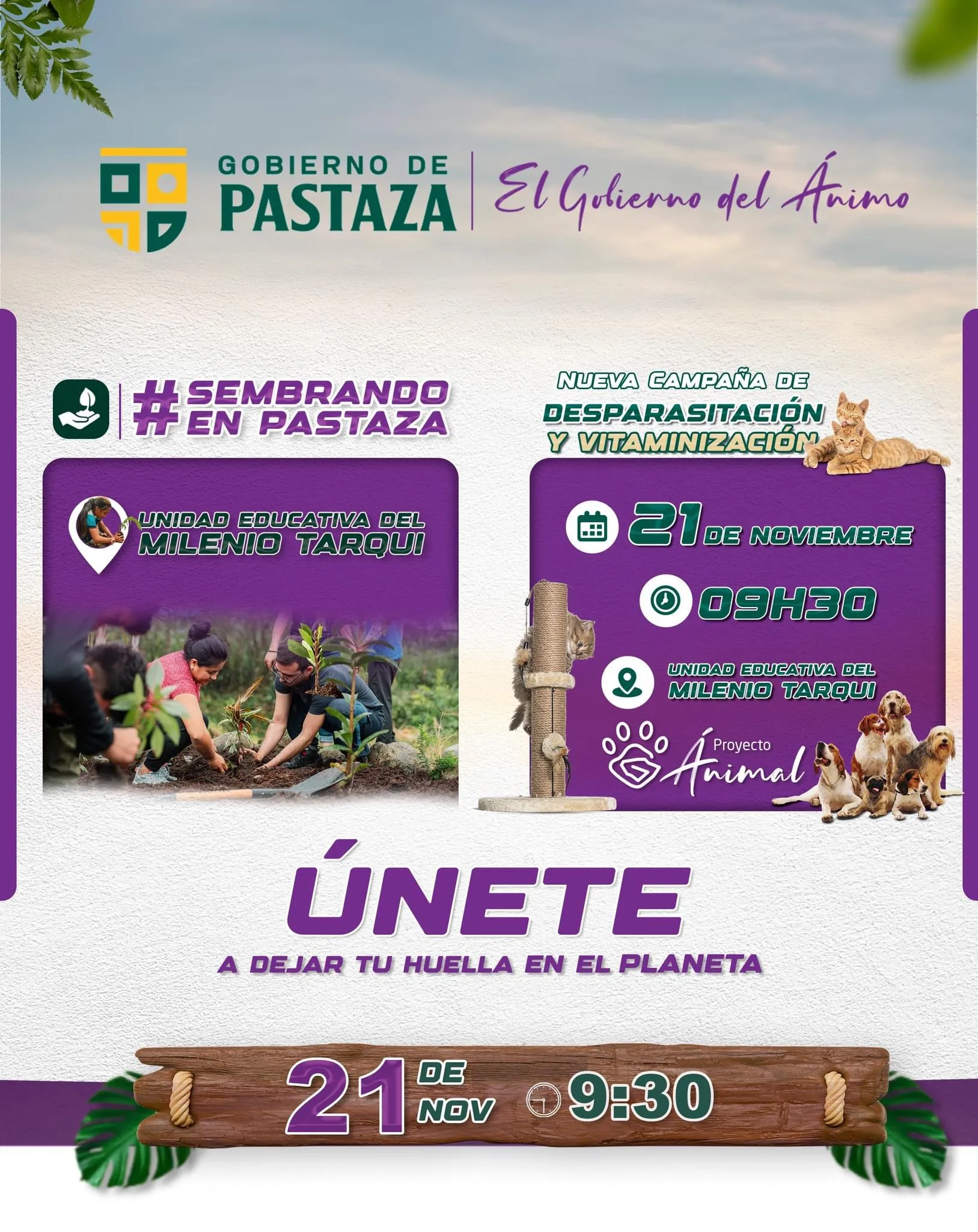 Lee más sobre el artículo Jornada de reforestación y bienestar animal en la Unidad Educativa del Milenio Tarqui