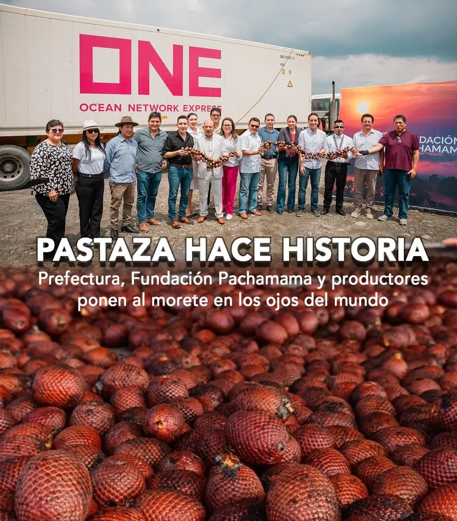 Lee más sobre el artículo HISTÓRICO PRIMERA EXPORTACIÓN DE MORETE DESDE PASTAZA A PERÚ.