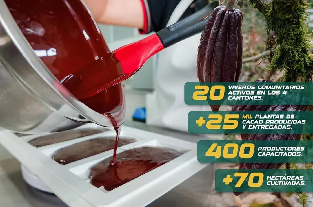 Lee más sobre el artículo Prefectura de Pastaza impulsa el cacao como eje del desarrollo sostenible.