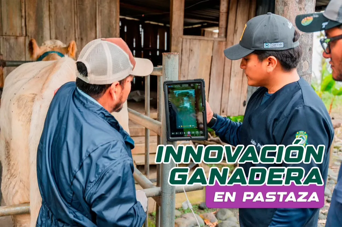 Lee más sobre el artículo Gobierno de Pastaza impulsa innovación ganadera.