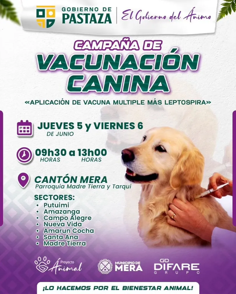 Lee más sobre el artículo Proyecto Animal llega a Mera.