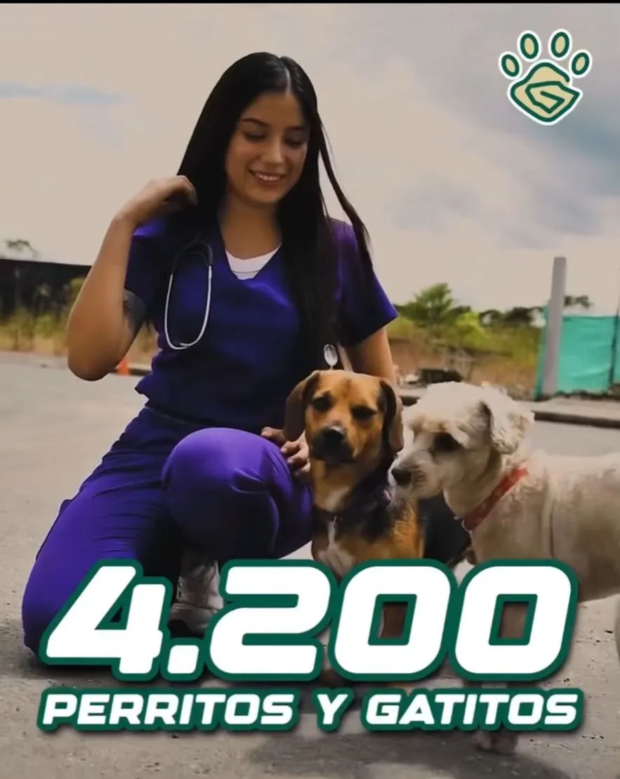 Lee más sobre el artículo Proyecto Animal continua a favor de perros y gatos en Pastaza.