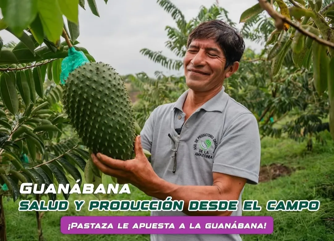 Lee más sobre el artículo Pastaza cultiva futuro con guanábana.