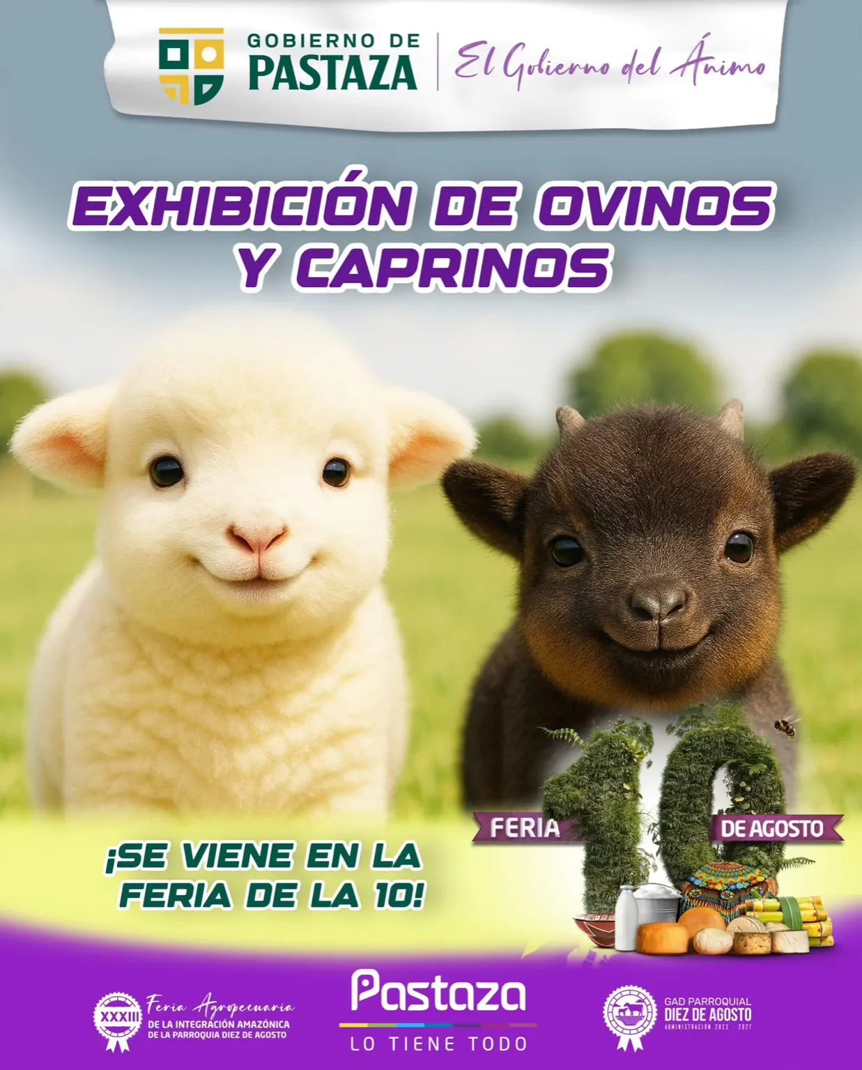 Lee más sobre el artículo Exhibición de ovinos y caprinos en la 10.