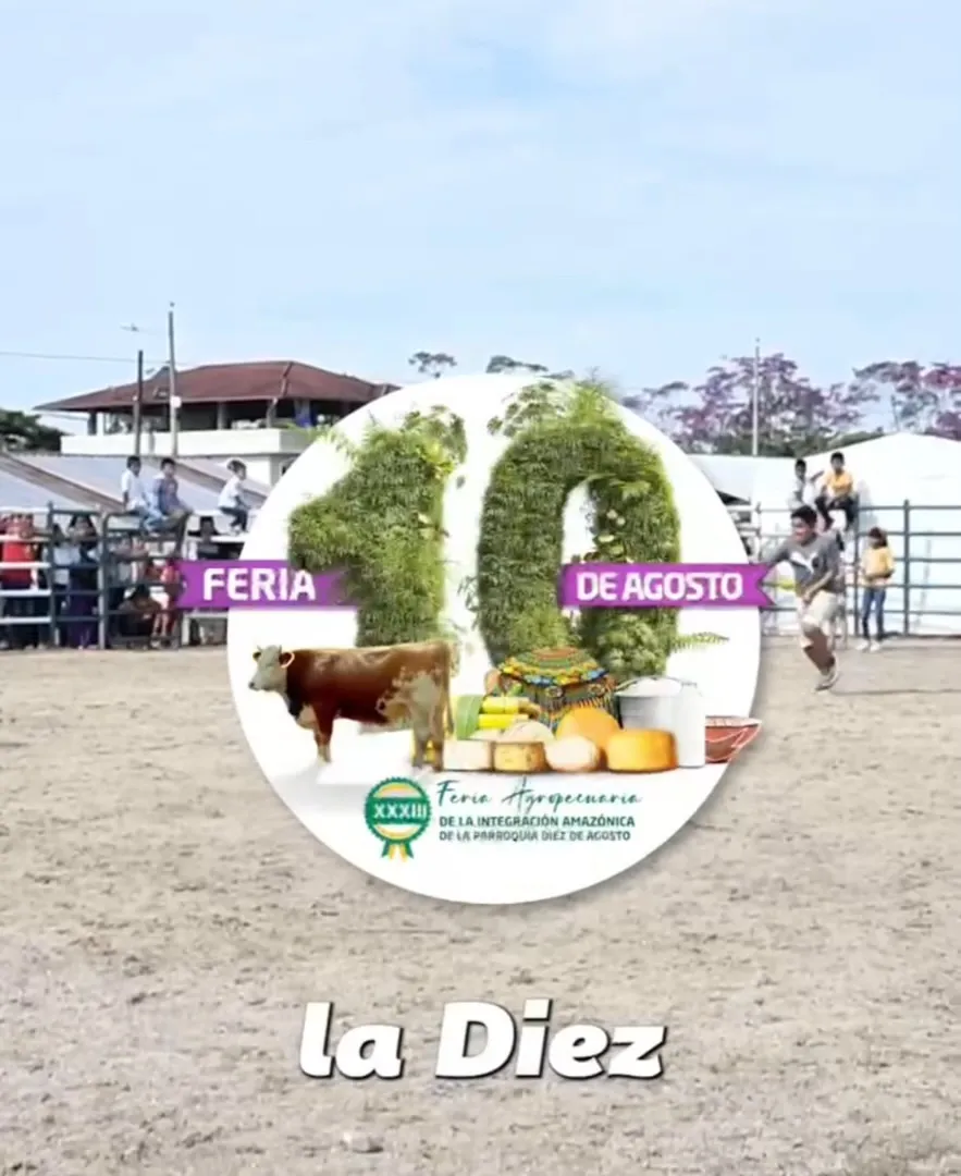 Lee más sobre el artículo Video. A la feria de la 10.