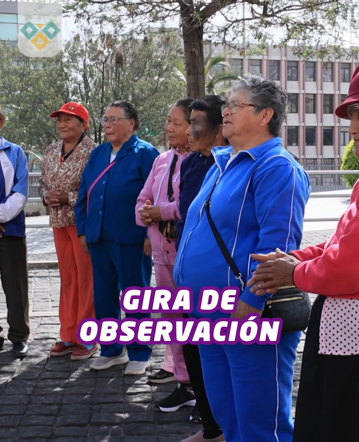Lee más sobre el artículo Gira de observación Años Dorados.