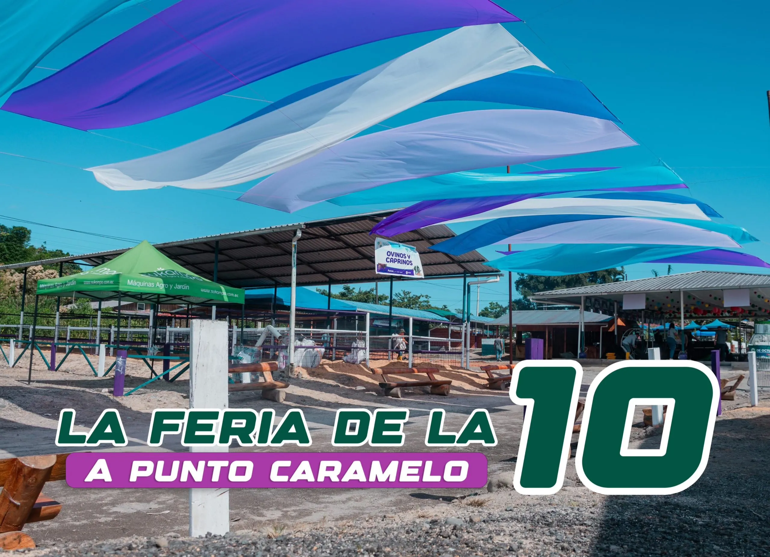Lee más sobre el artículo Ya empieza la feria de la Diez.
