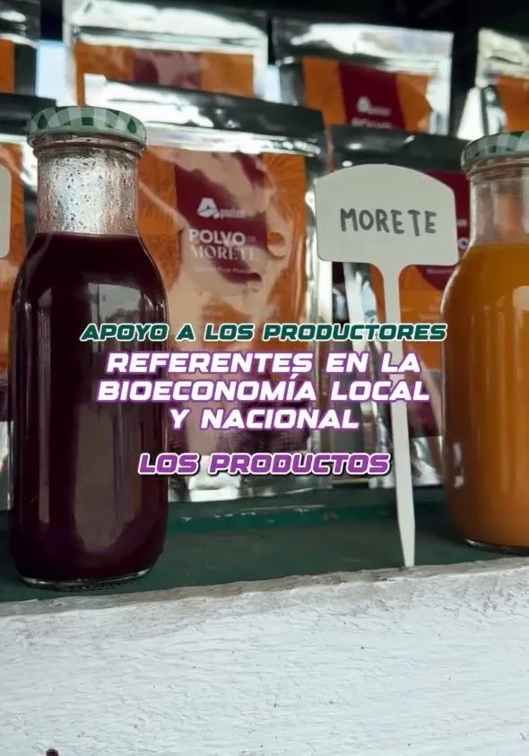 Lee más sobre el artículo Video. La obra 35 ya es una realidad en Pastaza.