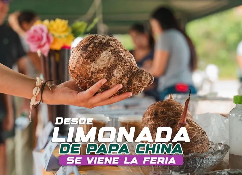 Lee más sobre el artículo Feria de la papa China muy pronto en Pastaza.