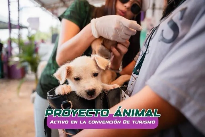Lee más sobre el artículo Proyecto Ánimal activo en Convención de Turismo.