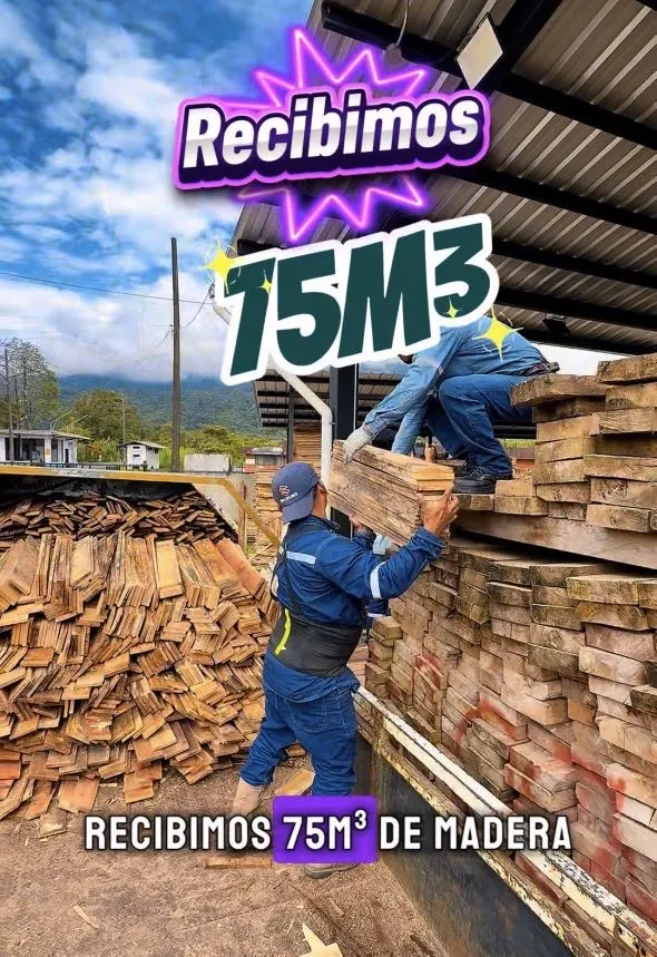 Lee más sobre el artículo Recibimos donación de madera.
