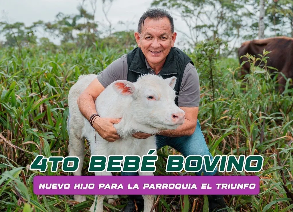 Lee más sobre el artículo Nuevo bebé bovino